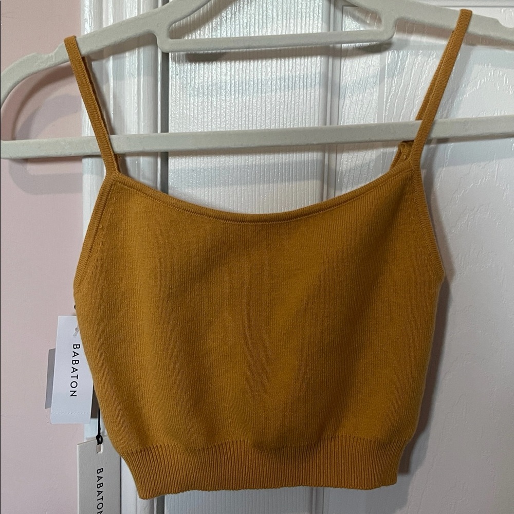 Aritiza / Babaton tank top